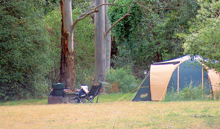 Wheeny Creek campground, Wollemi National Park. Photo: Steve Alton