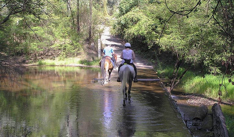 Wheeny Creek campground, Wollemi National Park. Photo: Steve Alton