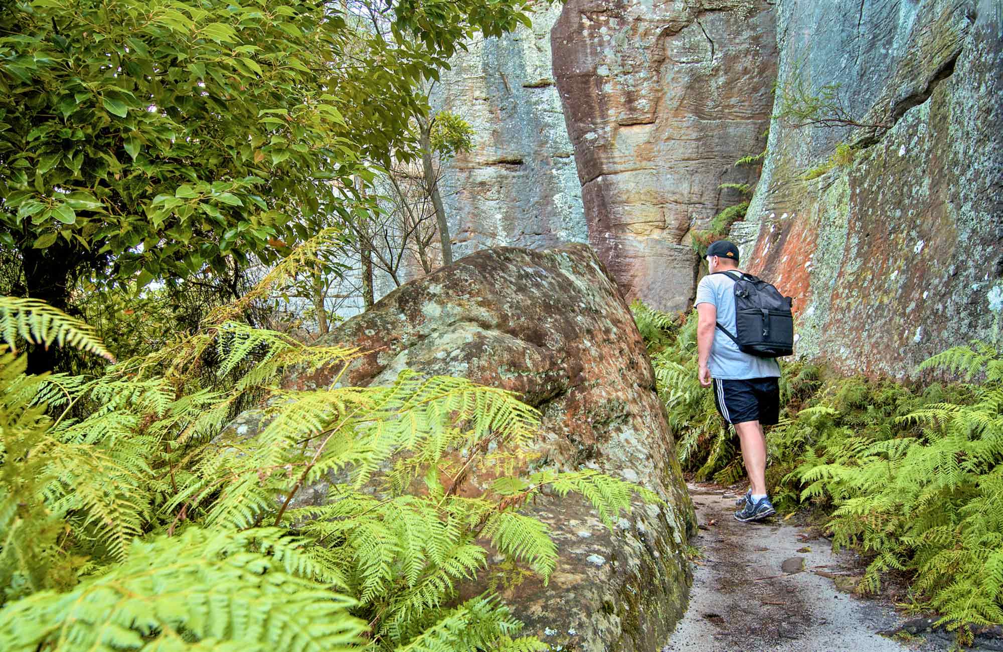 Wolli Creek Walking Track, Wolli Creek Regional Park. Photo: John Spencer