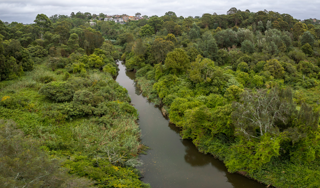 Wolli Creek, Wolli Creek Regional Park. Photo: John Spencer, &copy; DCCEEW