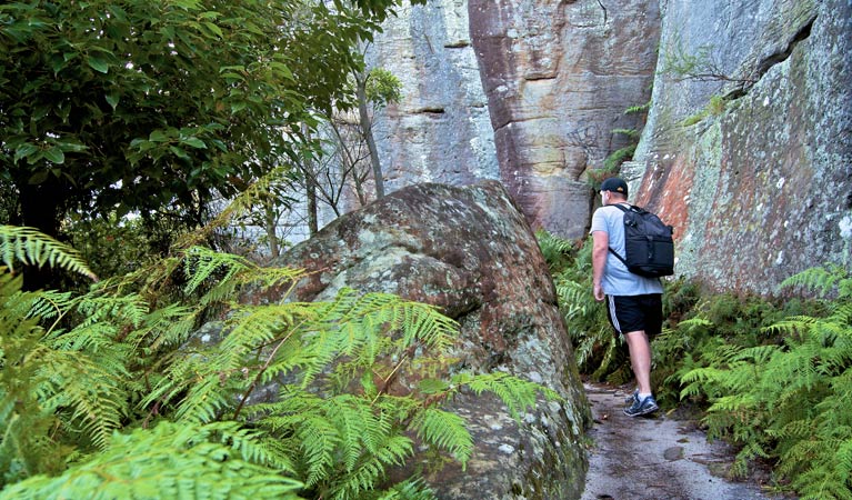 Walking track, Wolli Creek Regional Park. Photo: John Spencer