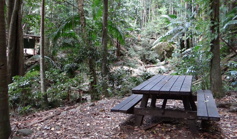 Lyrebird track picnic table, Wollumbin National Park. Photo &copy; Damien Hofmeyer