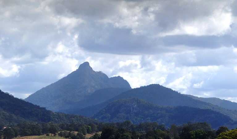 Wollumbin, Wollumbin National Park. Photo: &copy; Damien Hofmeyer