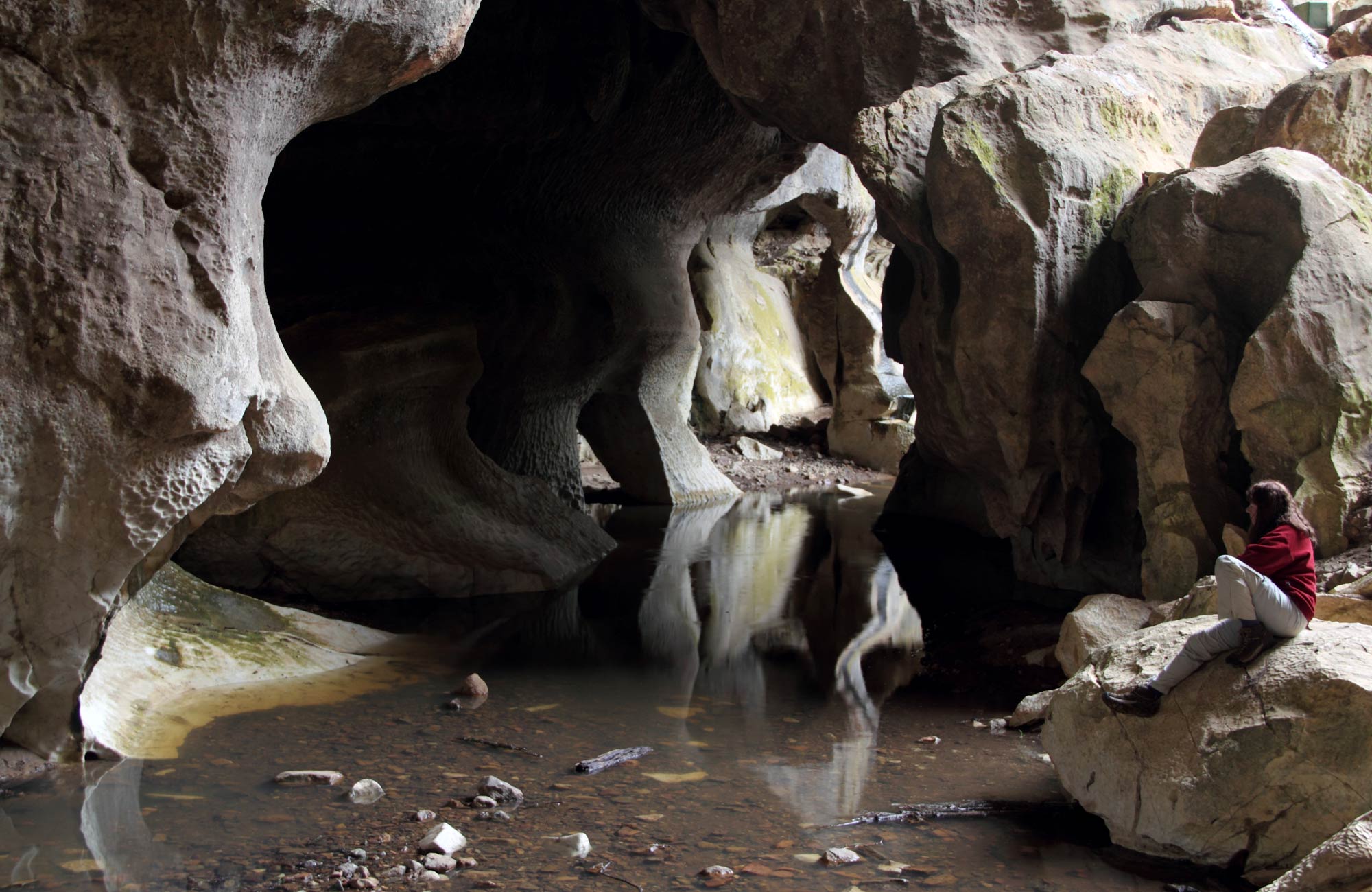 Figtree Cave, Wombeyan Karst Conservation Reserve. Photo: Stephen Babka
