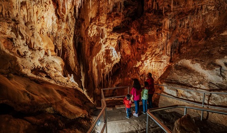 Visitors take in the textured walls of Fig Tree Cave. Credit: Remy Brand/DPE &copy; Remy Brand