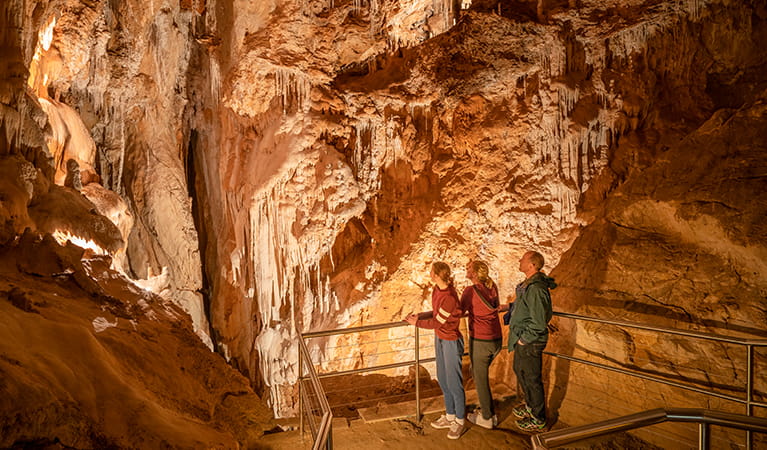 3 people standing in Fig Tree Cave looking at geological features at Wombeyan Karst Conservation Reserve. Photo: John Spencer/OEH