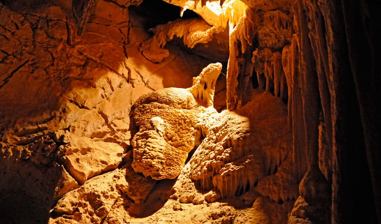 Figtree Cave, Wombeyan Karst Conservation Reserve. Photo: Kevin McGrath. 