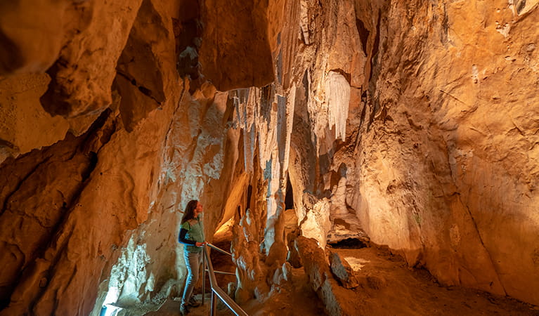 A person admiring geological features in the Fig Tree Cave, Wombeyan Karst Conservation Reserve. Photo: John Spencer/OEH