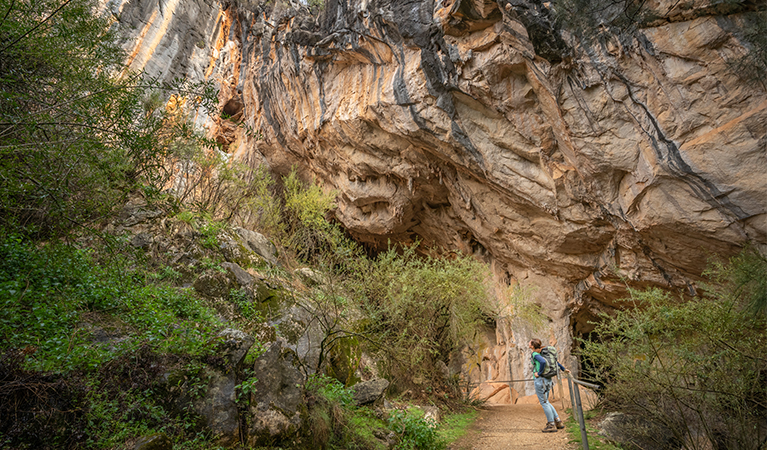 A person looking at the cave formations outside the Fig Tree Cave, Wombeyan Karst Conservation Reserve. Photo: John Spencer/OEH