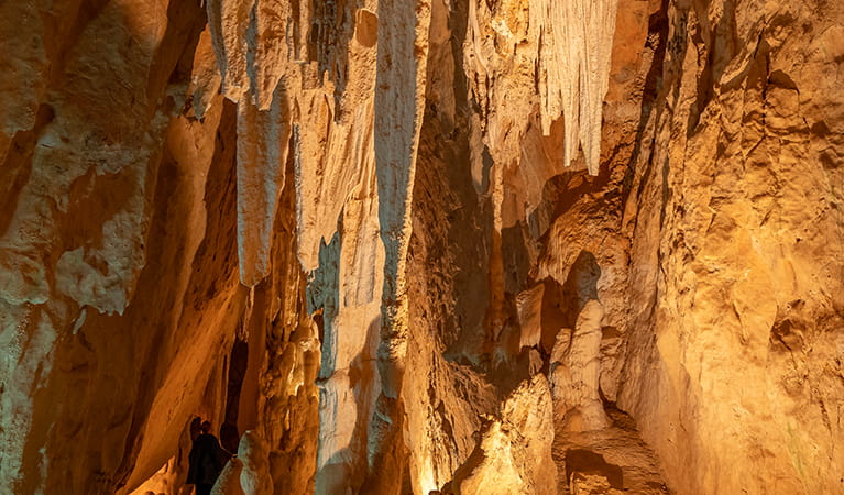 Geological features and formations in Fig Tree Cave, Wombeyan Karst Conservation Reserve. Photo: John Spencer/OEH