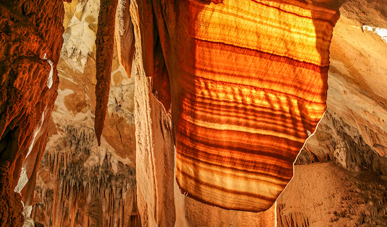 Junction Cave, Wombeyan Karst Conservation Reserve. Photo &copy; Steve Babka