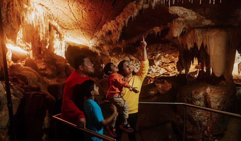 Visitors point out stalactites on the roof of Mulwaree Cave. Credit: Remy Brand/DPE &copy; Remy Brand