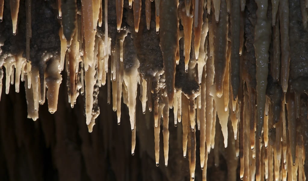 Water dripping from stalactites in Mulwaree Cave. Credit: Stephen Babka/DPE &copy; Stephen Babka