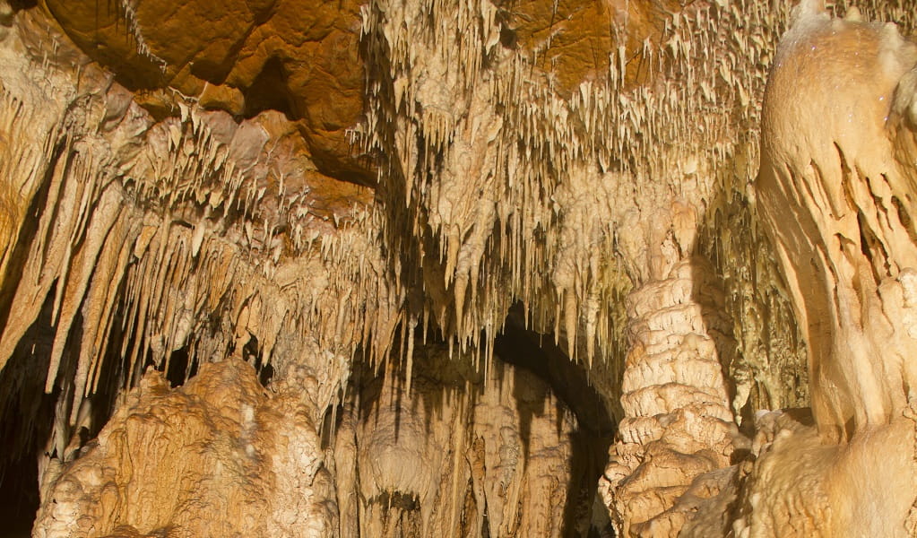 Large, sparkling stalactites hanging from the roof of Mulwaree Cave. Credit: Stephen Babka/DPE &copy; Stephen Babka