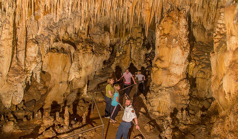 Mulwaree Cave, Wombeyan Karst Conservation Reserve. Photo: Steve Babka