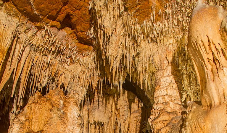 Mulwaree Cave, Wombeyan Karst Conservation Reserve. Photo &copy; Steve Babka