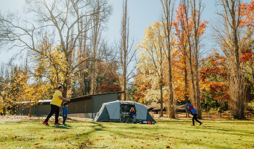 A father plays cricket with his 2 young sons in front of their tent at Wombeyan Caves campground. Credit: Remy Brand/DPE &copy; Remy Brand