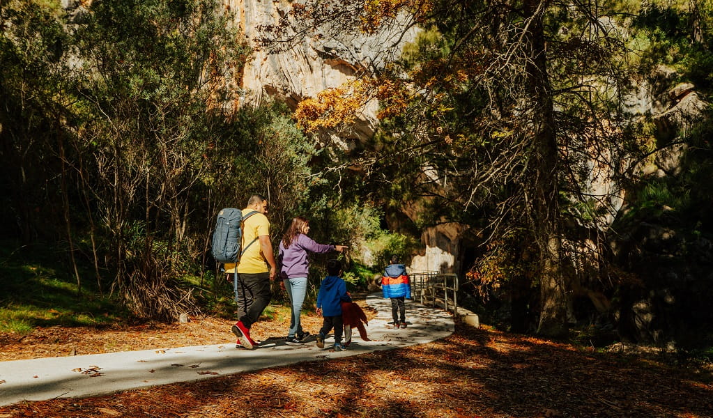 Parents and their 2 young sons walk along Victoria Arch walking track, a gentle flat walk surrounded by trees and dappled sunlight. Credit: Remy Brand/DPE &copy; Remy Brand