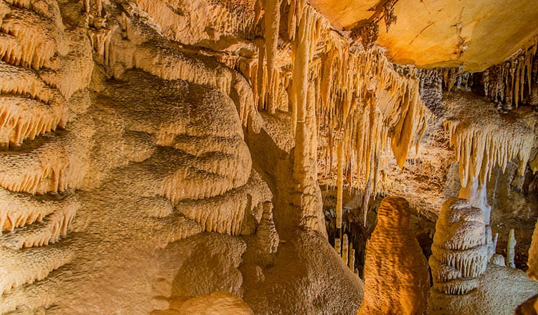 Kooringa Cave, Wombeyan Karst Conservation Reserve. Photo: Steve Babka