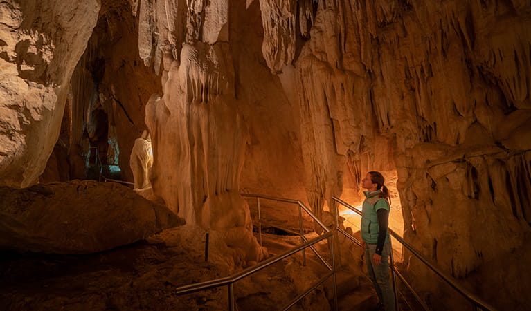 Visitor exploring Fig Tree Cave while listening to an audio-tour. Photo: OEH/John Spencer