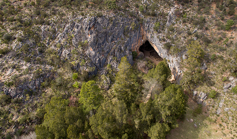 Arial view of the mouth of Victoria Arch, the final chamber of Fig Tree Cave. Photo: John Spencer © OEH