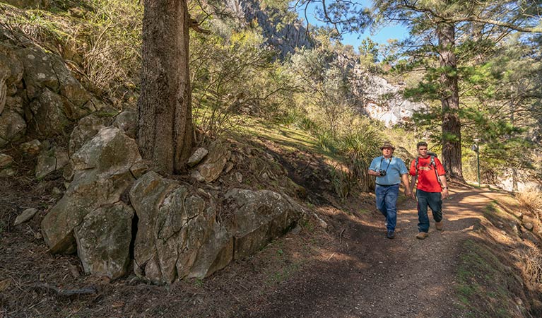 Father and son walk along the easily accessible Victoria Arch walking track. Photo: OEH/John Spencer