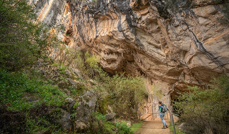 Person dwarfed by the enormity of a cave entrance for Victoria Arch. Photo: Photo: John Spencer &copy; OEH