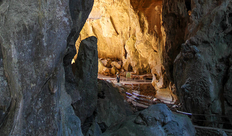 Victoria Arch walking track, Wombeyan Karst Conservation Reserve. Photo: Steve Babka