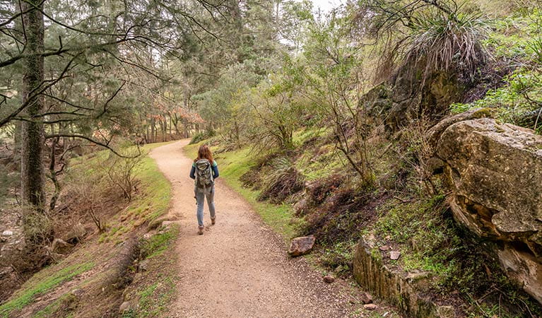 Woman hiking on Victoria Arch walking track towards Wombeyan picnic area. Photo: John Spencer &copy; OEH