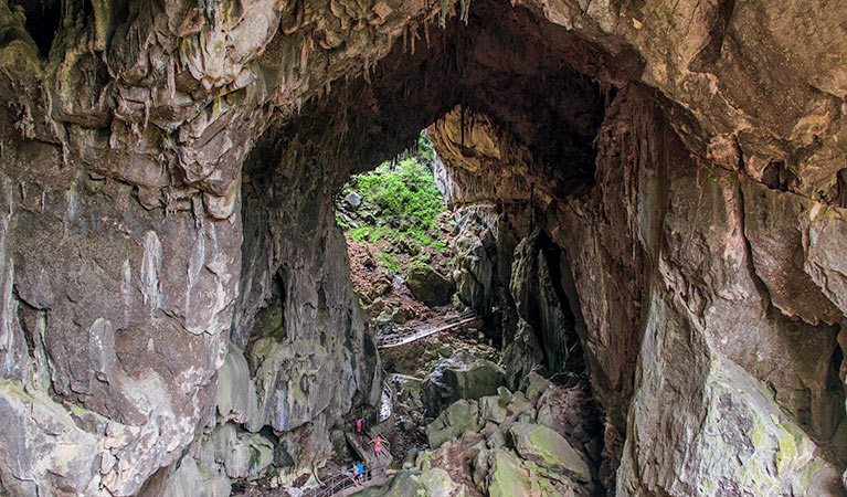 Victoria Arch walking track, Wombeyan Karst Conservation Reserve. Photo: Steve Babka