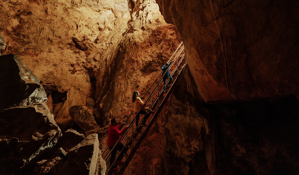 Visitors climb a staircase in Wollondilly Cave. Credit: Remy Brand/DPE &copy; Remy Brand