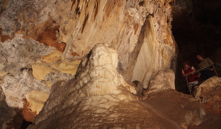 Wollondilly Cave, Wombeyan Karst Conservation Reserve. Photo: Stephen Babka