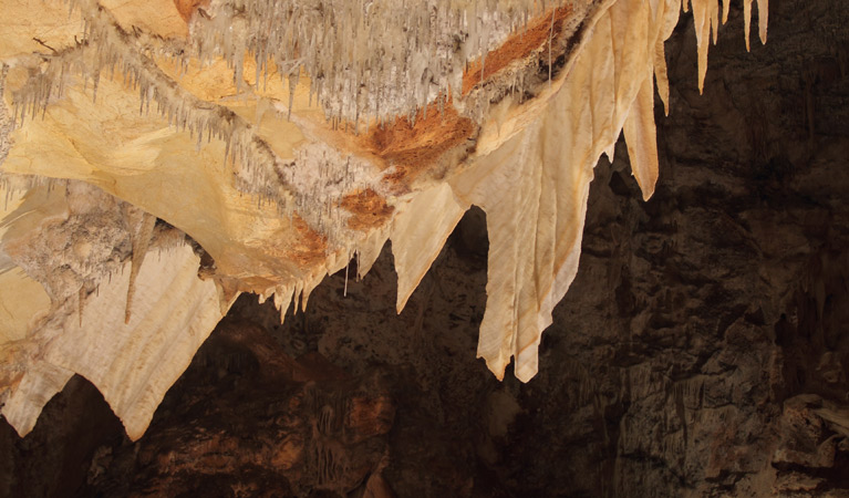 Wollondilly Cave, Wombeyan Karst Conservation Reserve. Photo: Stephen Babka