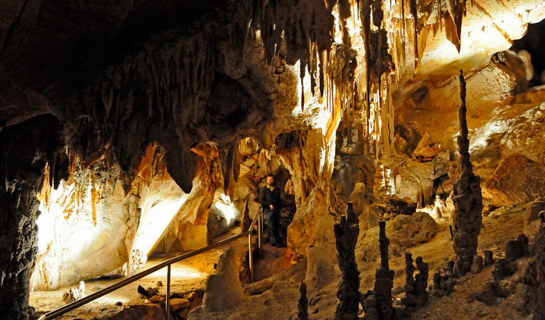 Wollondilly Cave. Photo: Kevin McGrath &copy; OEH