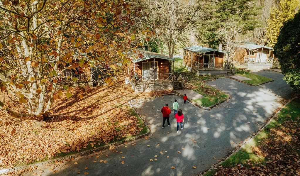 A family group walk towards the cabins, which are sheltered under tall trees, Wombeyan Karst Conservation Reserve. Credit: Remy Brand/DPE &copy; Remy Brand