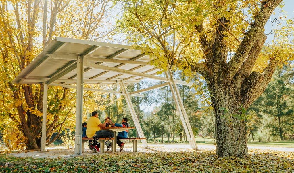 A family enjoy lunch together at Wombeyan picnic area. Credit: Remy Brand/DPE &copy; Remy Brand