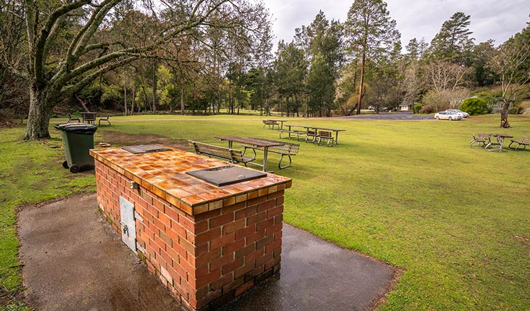 Barbecue and picnic tables at Wombeyan Karst Conservation Area. Photo: John Spencer/OEH