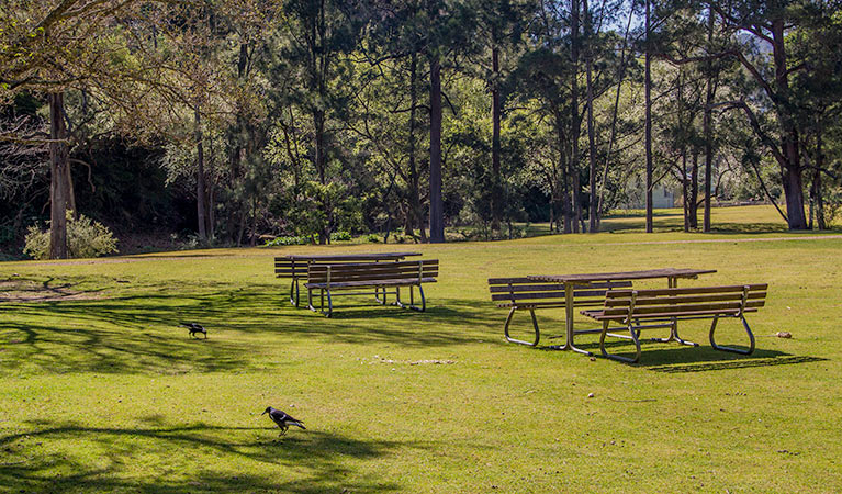 Wombeyan picnic area, Wombeyan Karst Conservation Reserve. Photo: Steve Babka