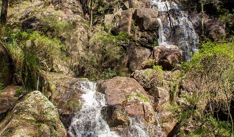 Wombeyan Waterfall walking track, Wombeyan Karst Conservation Reserve. Photo: Steve Babka