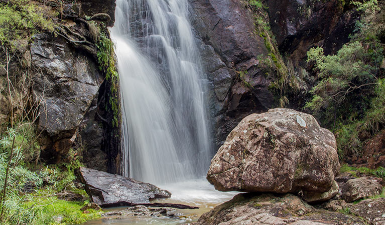 Wombeyan Waterfall walking track, Wombeyan Karst Conservation Reserve. Photo: Steve Babka