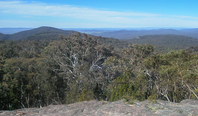 Norths lookout, Woomargama National Park. Photo: Dave Pearce/NSW Government