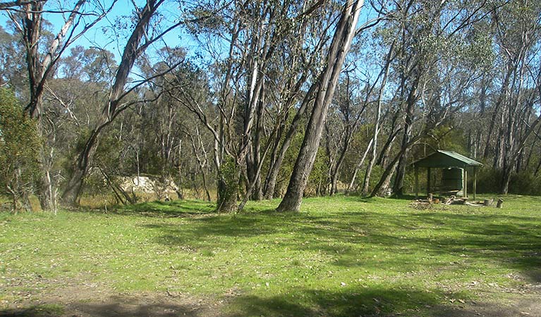 Tin Mines campground, Woomargama National Park. Photo: David Pearce/NSW Government