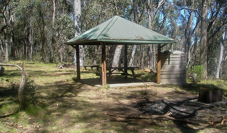 Samual Bollard campground, Woomargama National Park. Photo: Dave Pearce/NSW Government