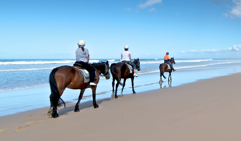 Horse riders, Worimi Conservation Lands. Photo: John Spencer &copy; DPIE