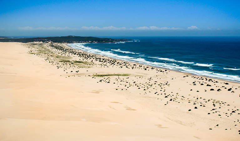 Aerial view of the Worimi Conservation Lands. Copyright:NSW Government