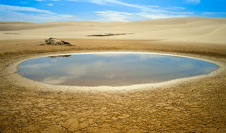 A water hole, Worimi Conservation Lands. Copyright:NSW Government