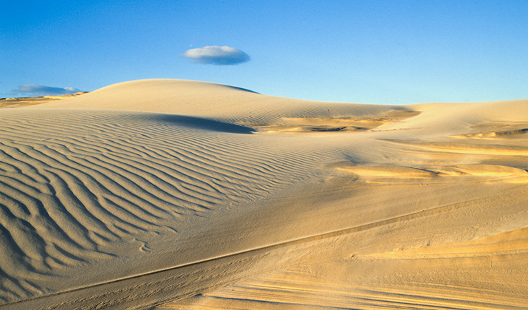 Shadows on the sand dunes. Worimi Conservation Lands. Copyright:NSW Government