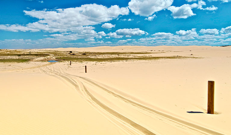 Tire tracks on the sand in Worimi National Park. Photo; John Spencer &copy; DPIE