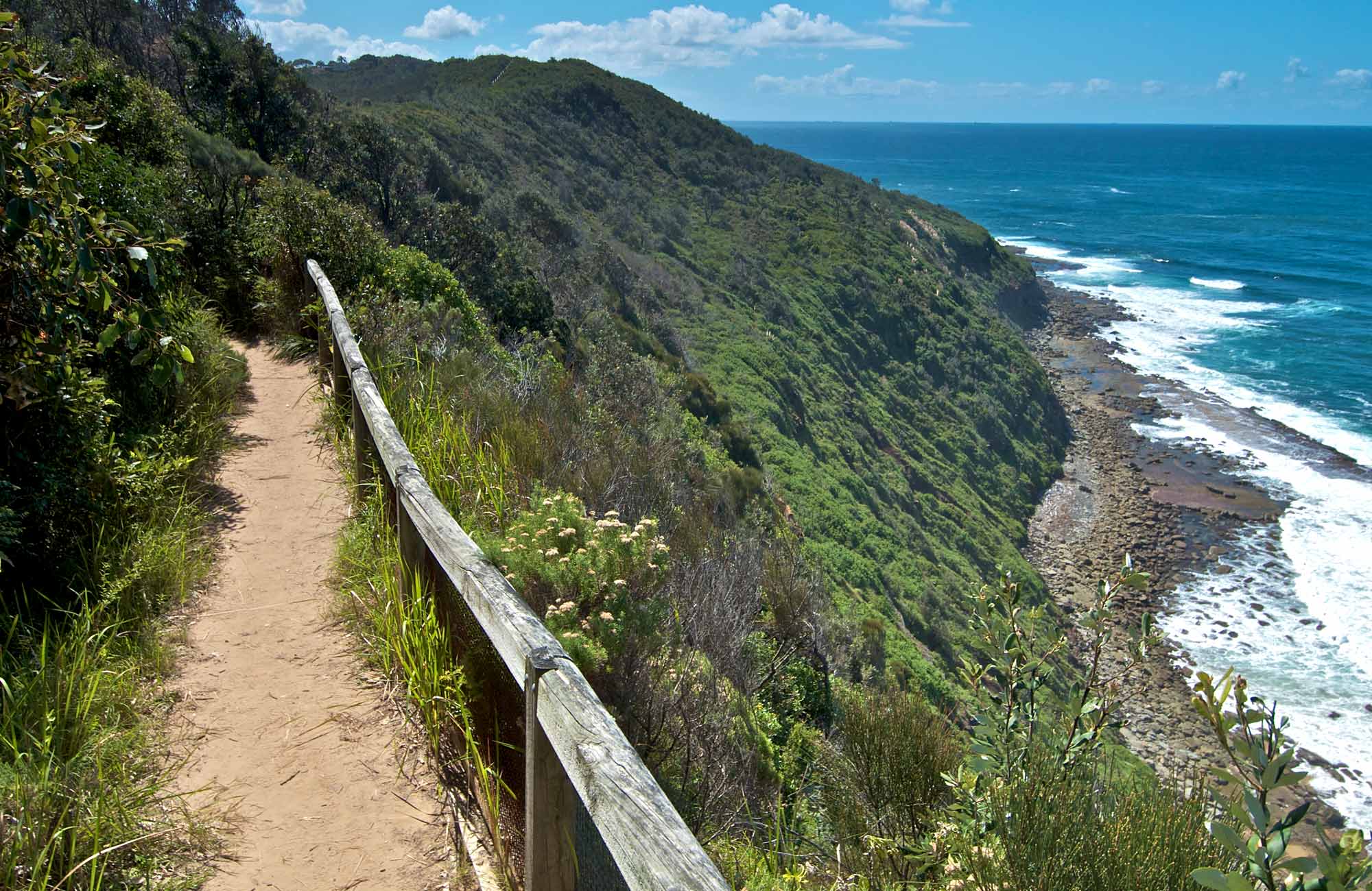 The Coast walking track | Visitor info | NSW National Parks