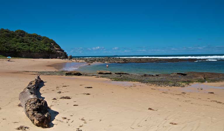 Beach, Wyrrabalong National Park. Photo: John Spencer